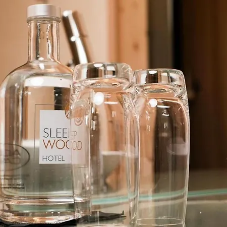 Hotel Sleepwood 3*